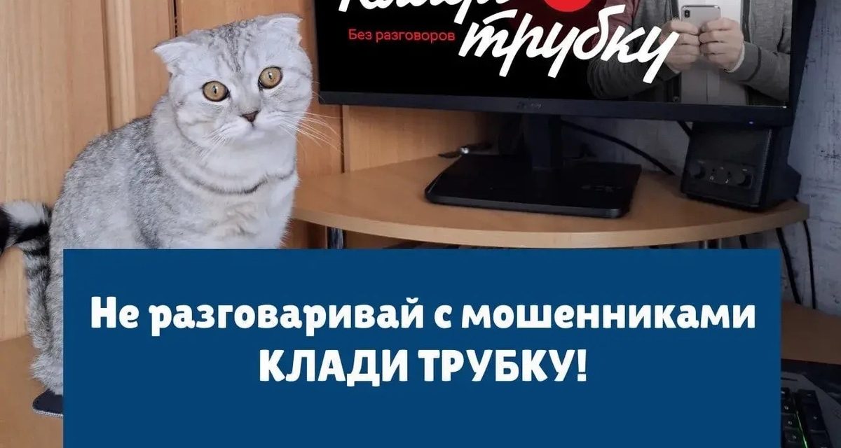 Жители Мордовии отдали мошенникам 300 миллионов рублей за девять месяцев